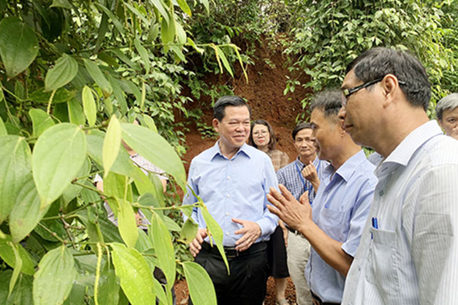 To make a breakthrough in the development of organic agriculture