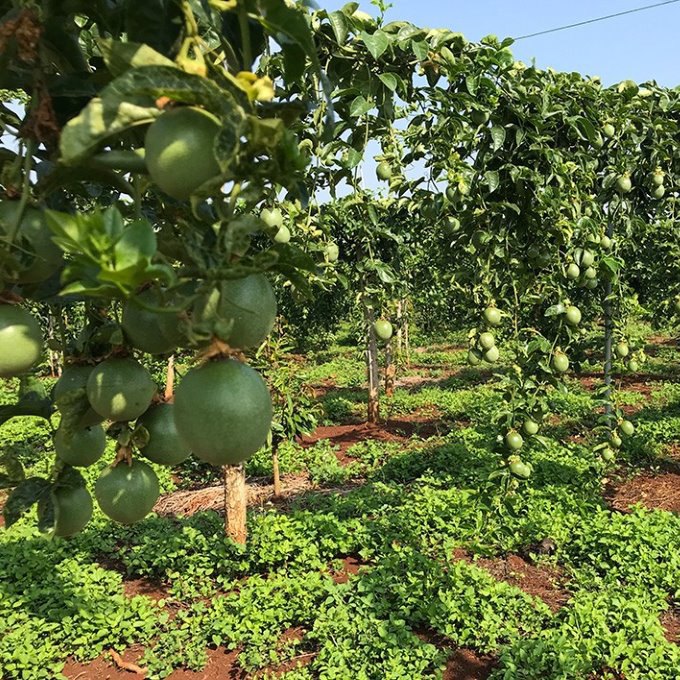 Hỗ trợ nông nghiệp